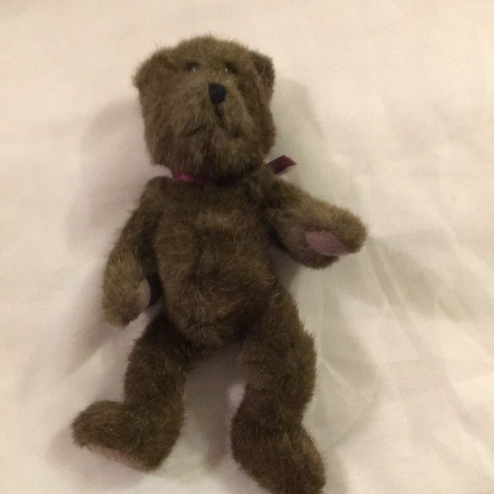 Boyd’s Bear (AB)